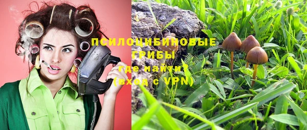 эйфоретик Белоозёрский