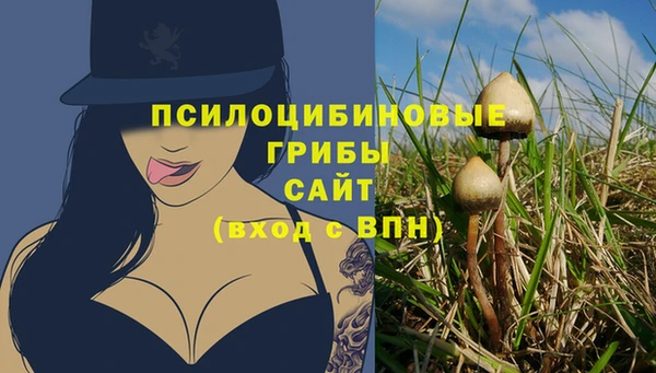 а пвп мука Бронницы