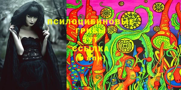 крисы Богданович
