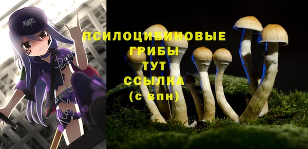 крисы Богданович