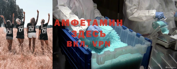 прущие грибы Беломорск