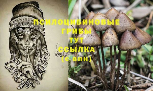 кокс Богородск