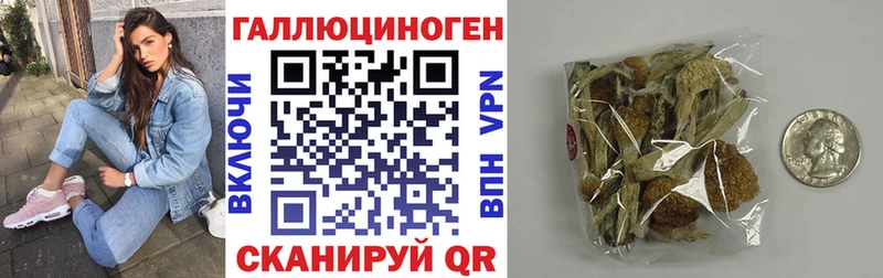 Галлюциногенные грибы GOLDEN TEACHER  наркотики  Белокуриха 